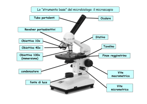 Lo “strumento base” del microbiologo: il microscopio