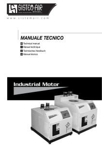Industrial Motor