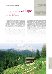 in Friuli - Canislupus Italia