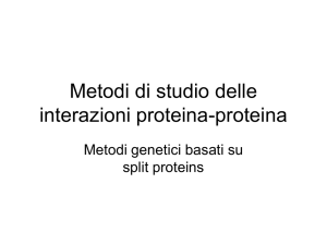 Metodi di studio delle interazioni proteina-proteina - e