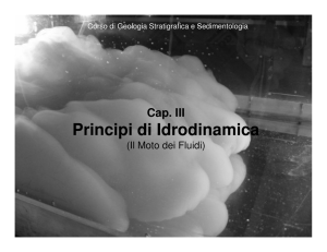 Lezione III - Principi di Idrodinamica