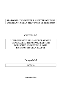 pdf 75K - Provincia di Bergamo