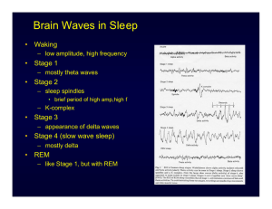 il sonno come processo passivo - Facoltà di Medicina e Psicologia