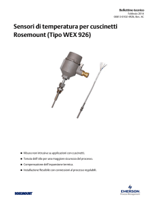 Sensori di temperatura per cuscinetti Rosemount (Tipo WEX 926)
