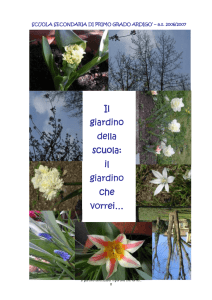 Il giardino della scuola: il giardino che vorrei…