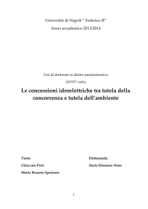 Le concessioni idroelettriche tra tutela della concorrenza e tutela