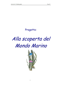 Alla scoperta del Mondo Marino