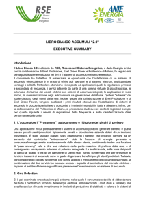 libro bianco accumuli “2.0” executive summary - E