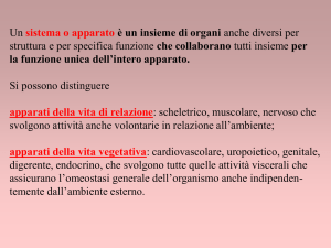 Presentazione di PowerPoint - Protezione Civile Regione Campania