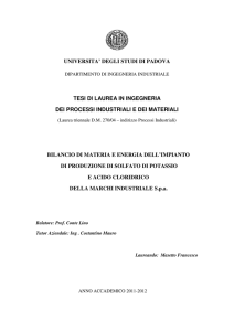 UNIVERSITA` DEGLI STUDI DI PADOVA TESI DI LAUREA IN