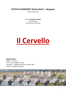 Il Cervello - ISIS "GIULIO NATTA"