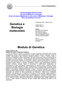 programma del corso - Università degli Studi di Verona