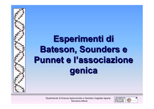 12. Esperimento di Bateson e Punnet e Associazione Genetica