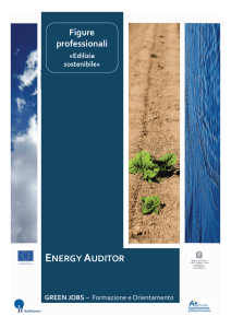 Energy auditor
