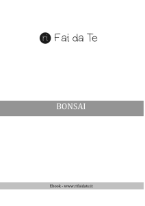 Bonsai - Rifaidaite