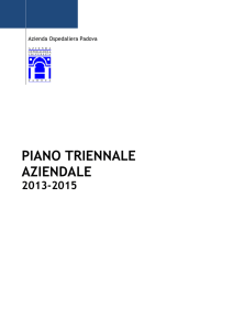 Piano Triennale Aziendale 2013-2015