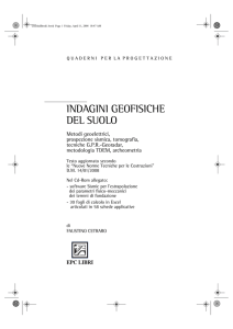 INDAGINI GEOFISICHE DEL SUOLO