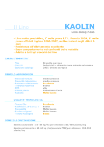 KAOLIN