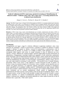 42 Studio di validazione del DNA comet assay, metodo di screening