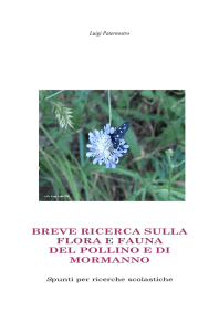 breve ricerca sulla flora e fauna del pollino e di mormanno