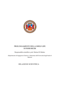 Relazione - regione campania