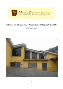 Relazione Scientifica sul Museo Paleontologico di Magliano Vetere