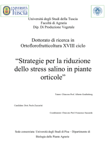 Strategie per la riduzione dello stress salino in