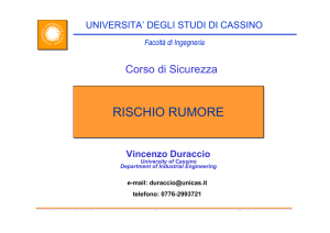 rischio rumore