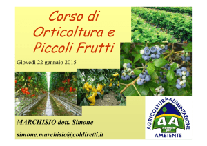 appunti corso 2° lezione Cuneo 2015 - Marchisio