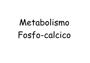 metabolismo-fosfo-ca..