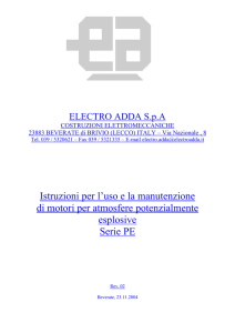 Istruzioni per l`uso e la manutenzione di motori per