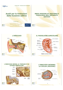 Diapositiva 1 - Portale SIVA