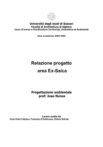 Relazione progetto area Ex