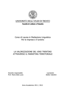 Tesi di laurea di Stefan Valentini