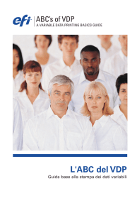 L`ABC del VDP - MC System srl