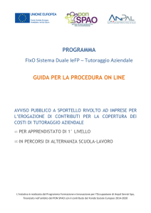 PROGRAMMA FIxO Sistema Duale IeFP – Tutoraggio Aziendale