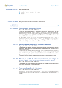 Curriculum Vitae - formato pdf