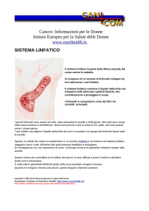 sistema linfatico - European Institute of Women`s Health