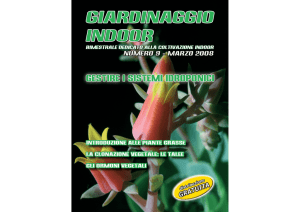 numero 9 - Giardinaggio Indoor