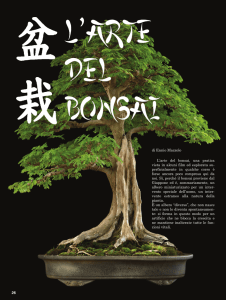 L`arte del bonsai