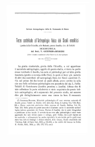 Tra contributo ali` Antropologia fisica dei Siculi eneolitici - Isita
