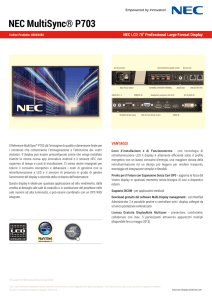 NEC MultiSync® P703