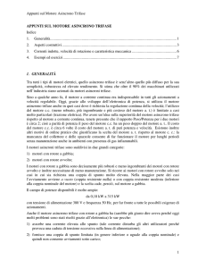 Appunti sul Motore Asincrono Trifase 1 APPUNTI SUL MOTORE