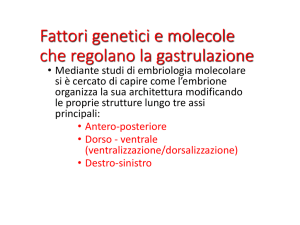 principali fattori genetici e molecolari coinvolti nella