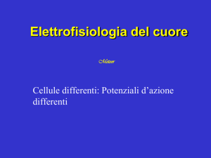 Il Cuore-Elettrofisiologia