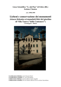 Licheni e conservazione dei monumenti