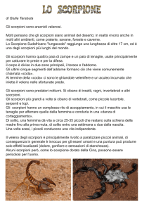 Scorpione - DigiScuola