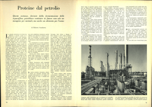 Proteine dal petrolio