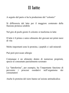 Il latte - Associazione Studenti di Agraria IAAS Sassari