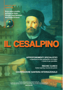 30/4/2013 Il Cesapino n.33